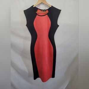 Stanzino Black and Red Bodycon Dress